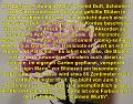 B Info 2